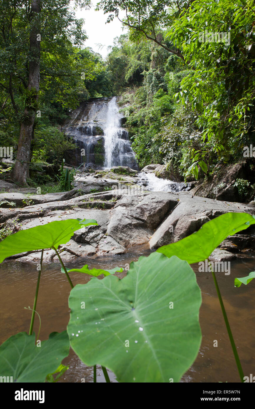Cascade dans la forêt tropicale, Bang Saphan, Prachuap Khiri Khan, Thaïlande, Asie Province Banque D'Images