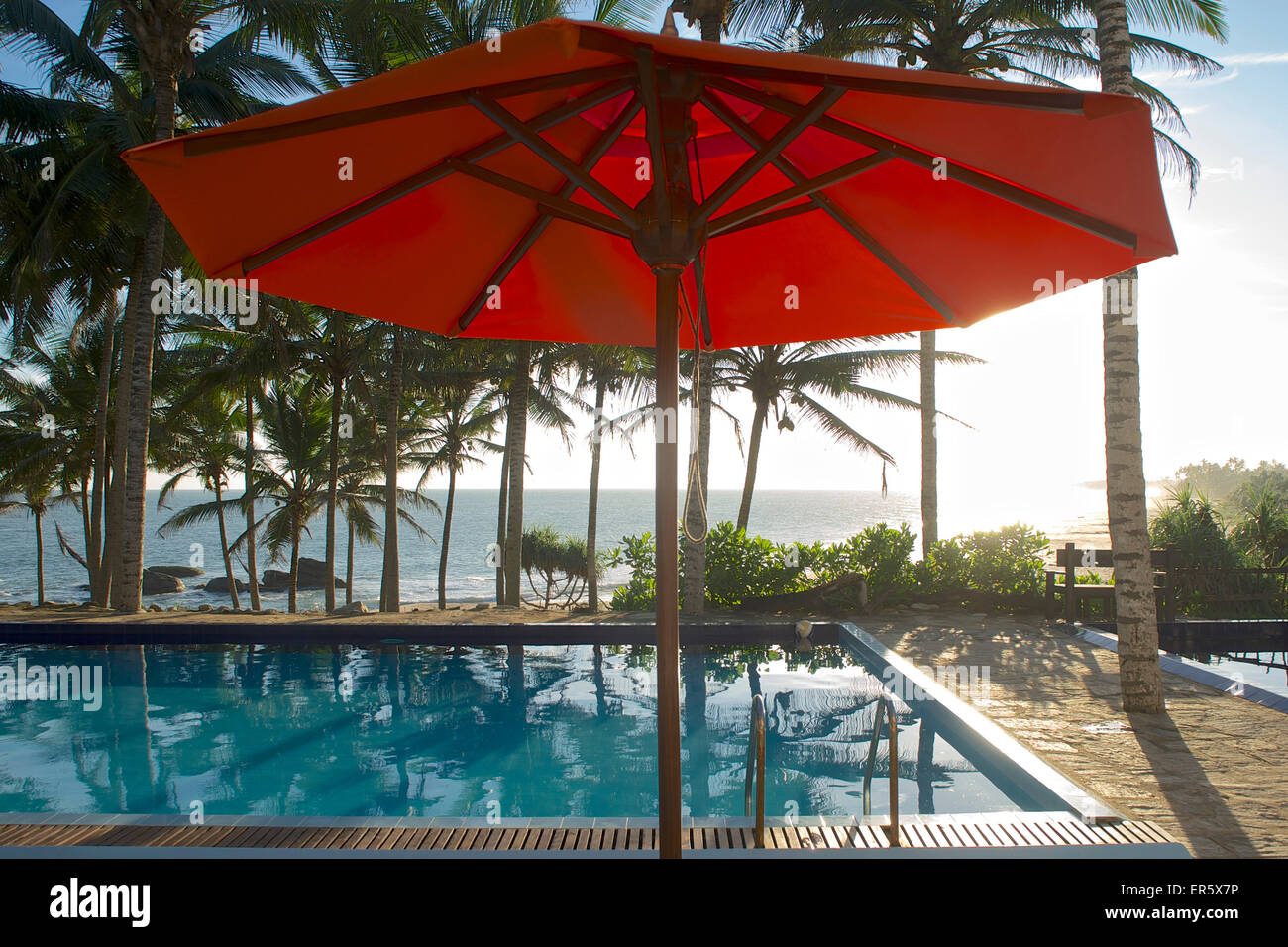Parasol et la piscine sous les palmiers avec vue sur la mer, l'Hôtel de la Baie aux Tortues, Tangalle, Sri Lanka Banque D'Images