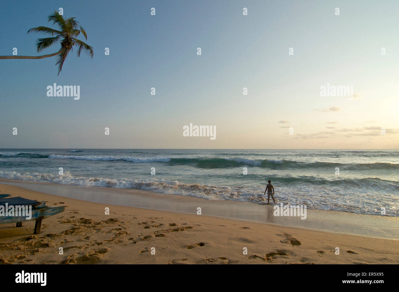 Palmier Sur La Plage Lonesome Personne Sur La Plage Le Soir