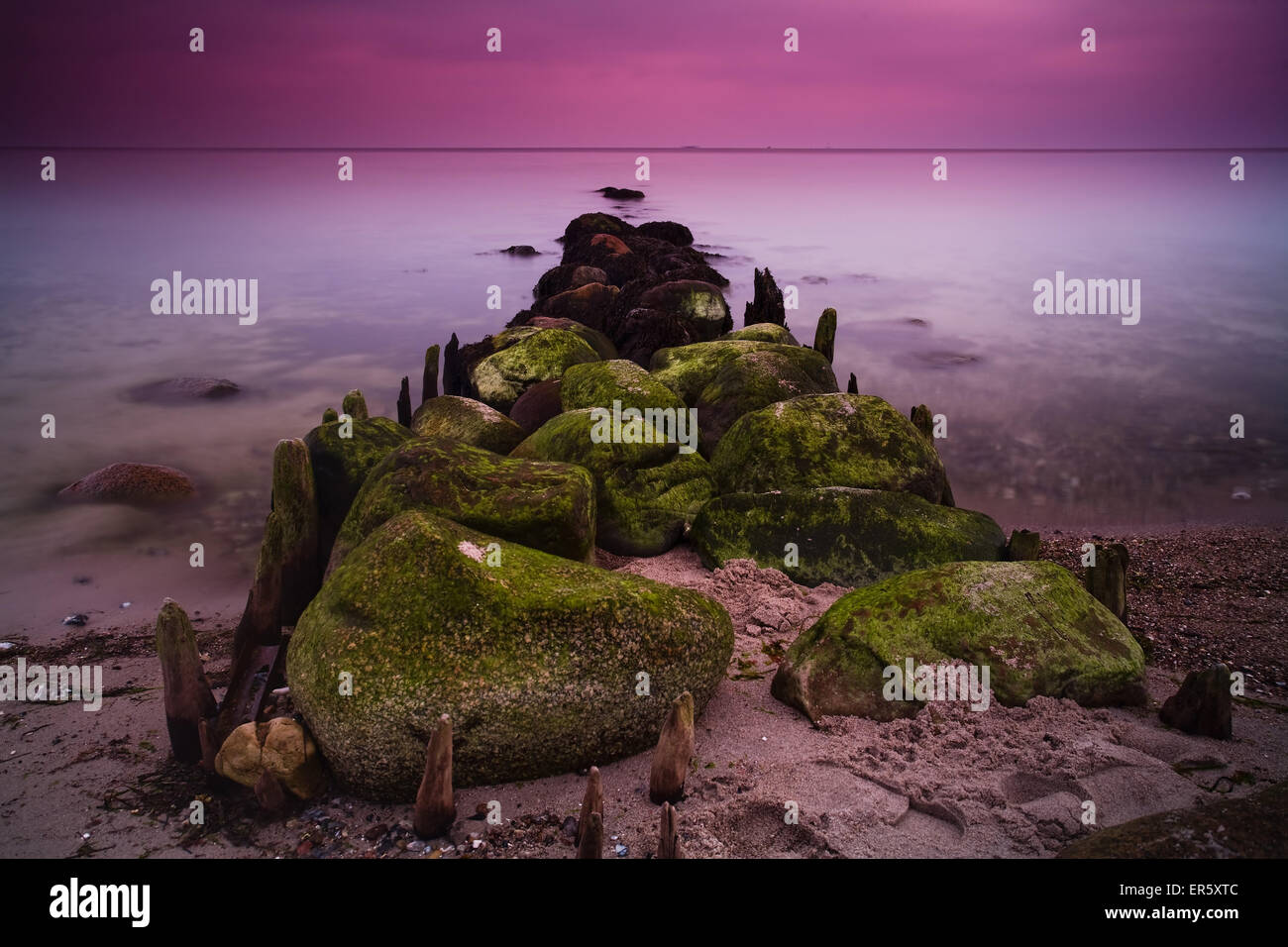 Épis couverts de mousse et de pierres dans la lumière du matin, Buelk, Strande, Kiel, Schleswig-Holstein, Allemagne Banque D'Images