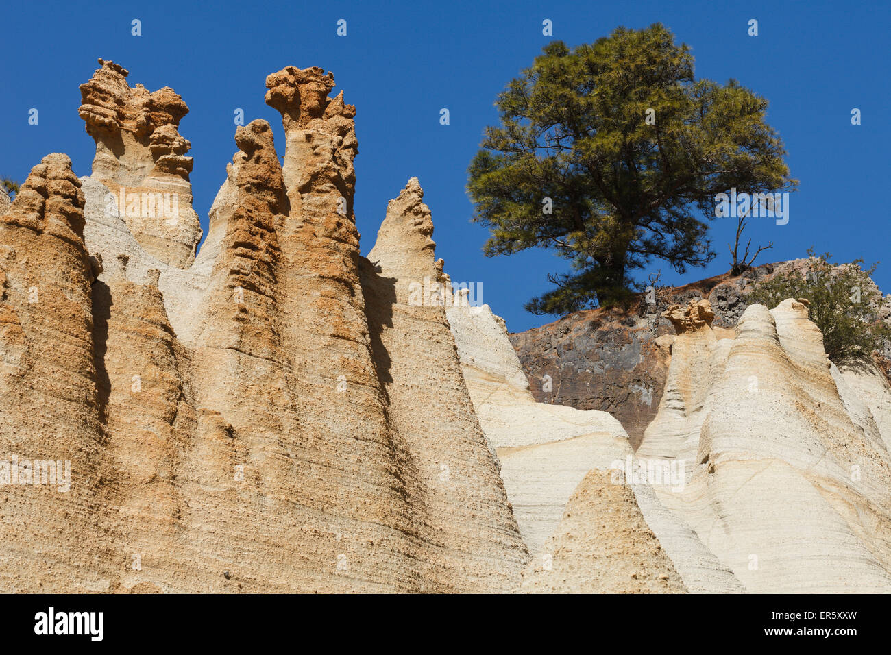 Paisaje Lunar, paysage lunaire près de Vilaflor, Parc Naturel de la Corona Forestal, près du parc naturel national de Teide, Tener Banque D'Images