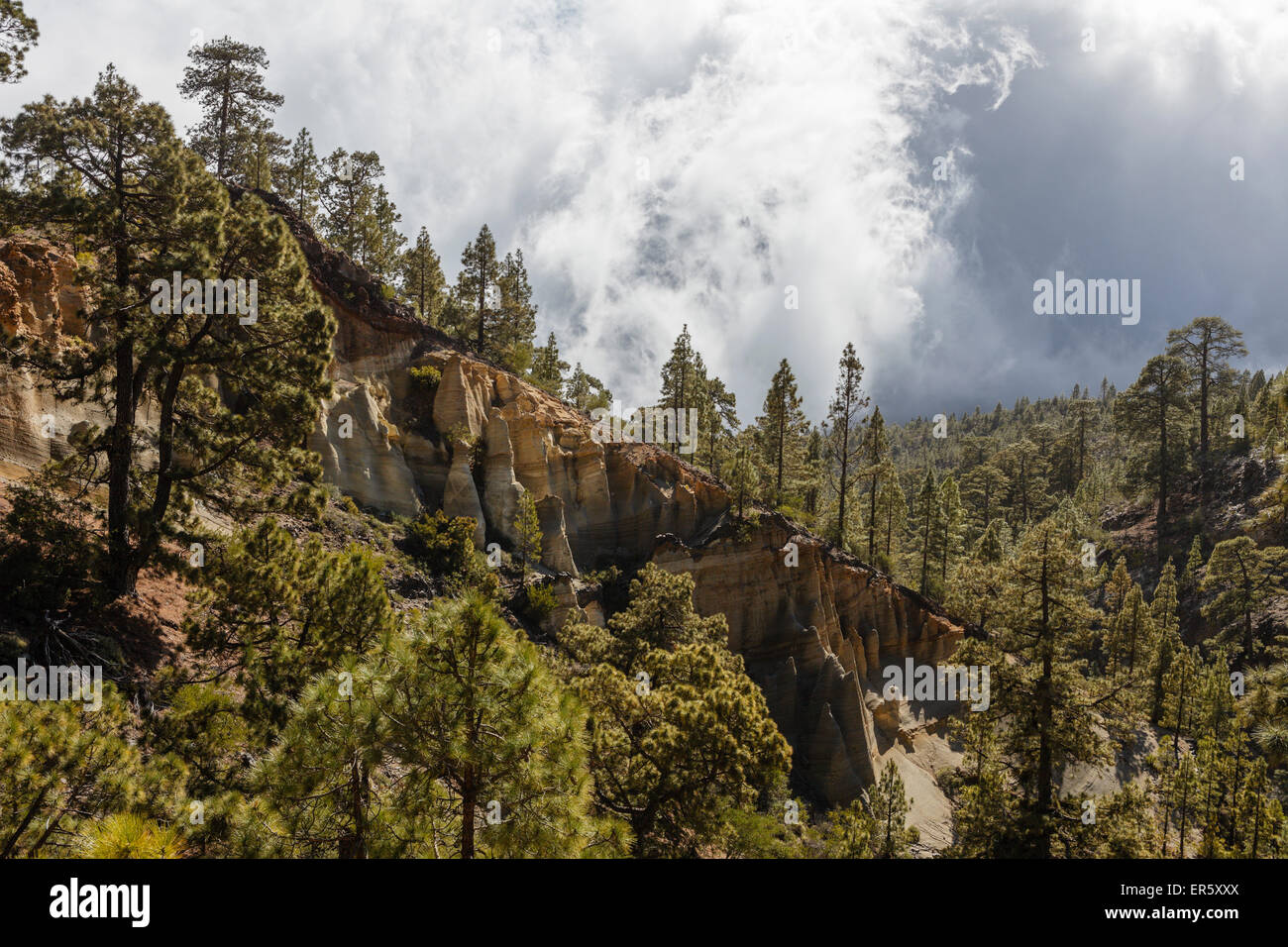 Paisaje Lunar, paysage lunaire, l'érosion, paysage près de Vilaflor, Parc Naturel de la Corona Forestal, parc naturel près de Teide Banque D'Images
