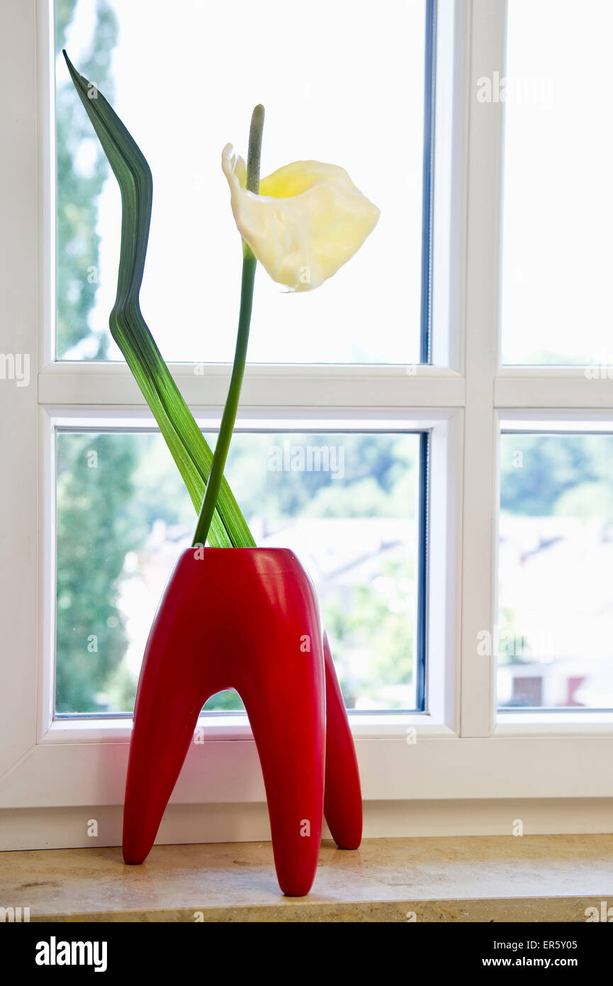 Vase de fleurs dans une chirurgie dentaire, Freiburg im Breisgau, Forêt-Noire, Bade-Wurtemberg, Allemagne Banque D'Images