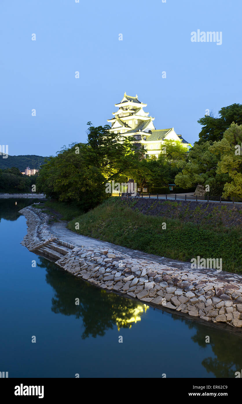 Vue de la nuit de Okayama Castle (château) surnommé Crow dans la préfecture d'Okayama. Lieu historique national du Japon Banque D'Images