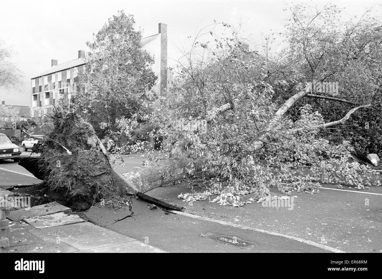 La grande tempête de 1987 s'est produit la nuit du 15 au 16 octobre 1987. Un système météorologique exceptionnelle des vents dus à frapper une grande partie du sud de l'Angleterre et le nord de la France. C'était la pire tempête à frapper l'Angleterre depuis la grande tempête de 1703. Dommage a été l'esti Banque D'Images