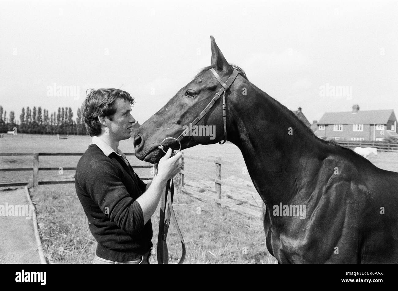 Cheval gagnant du Pigeon mer trente-sept courses, vu ici avec Steven Muldoon, fils de Pat Muldoon qui possède le cheval. 21 Juillet 1983 Banque D'Images