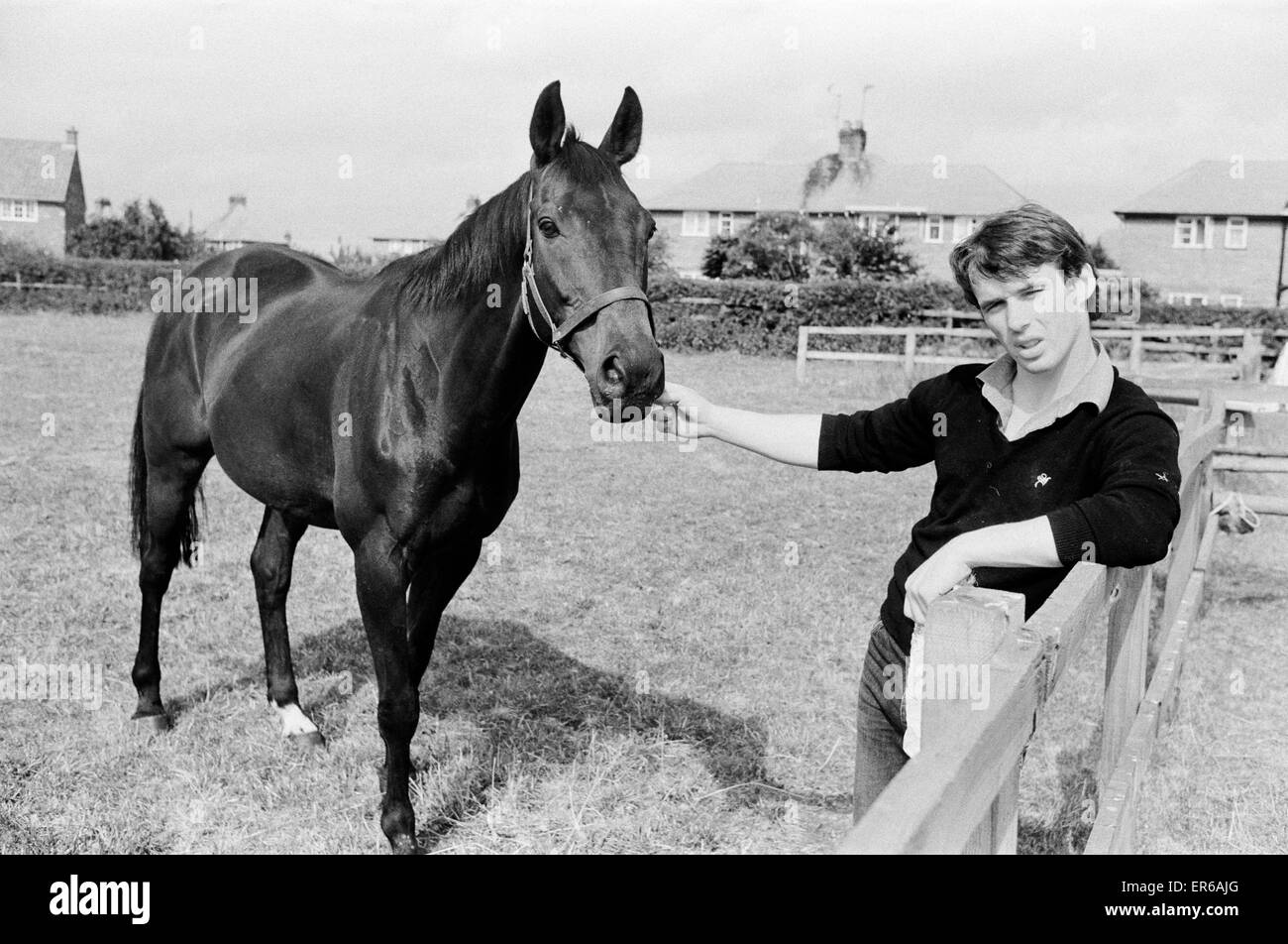 Cheval gagnant du Pigeon mer trente-sept courses, vu ici avec Steven Muldoon, fils de Pat Muldoon qui possède le cheval. 21 Juillet 1983 Banque D'Images