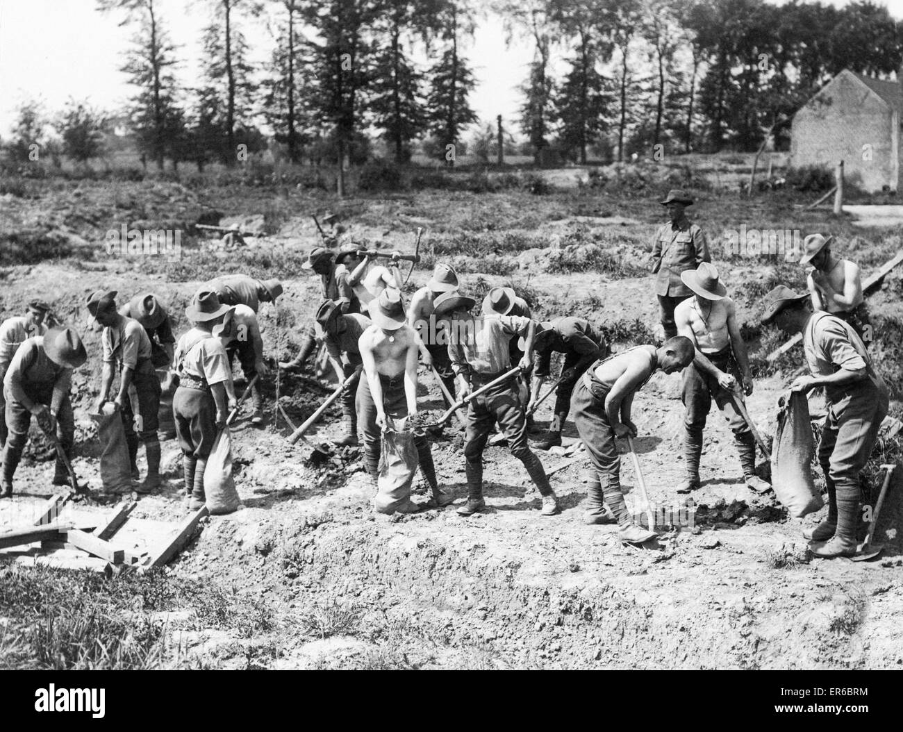 Pionniers australiens de la 1re et la 2e division australienne à l'œuvre derrière les lignes près de Fleurbaix, juste au sud de la ville Armentires. Les pionniers sont en train de creuser des tranchées défensives des sacs de sable et derrière la ligne de front. Mai 1916. Banque D'Images