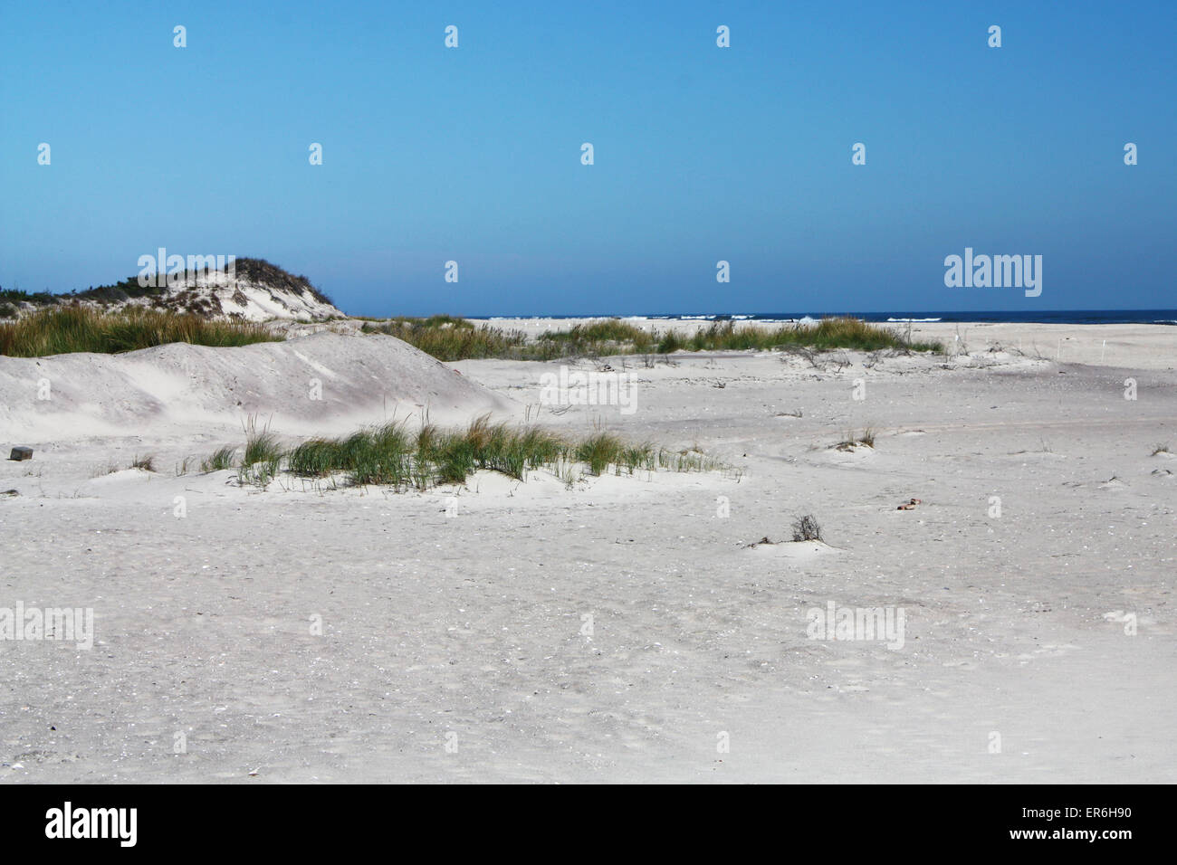 Plages de dunes Banque D'Images