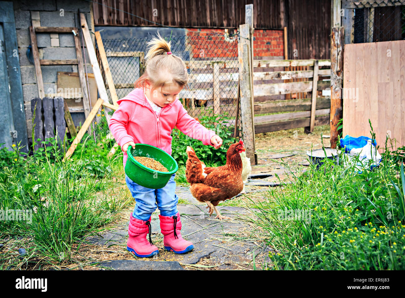 Petite fille dans l'alimentation des poulets de ferme avant Banque D'Images