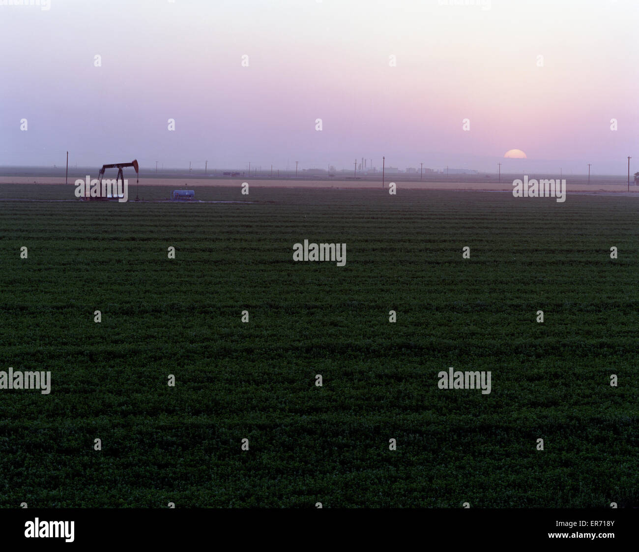 Jack la pompe à huile dans des terres agricoles au coucher du soleil, le sud de San Joaquin Valley CA Banque D'Images