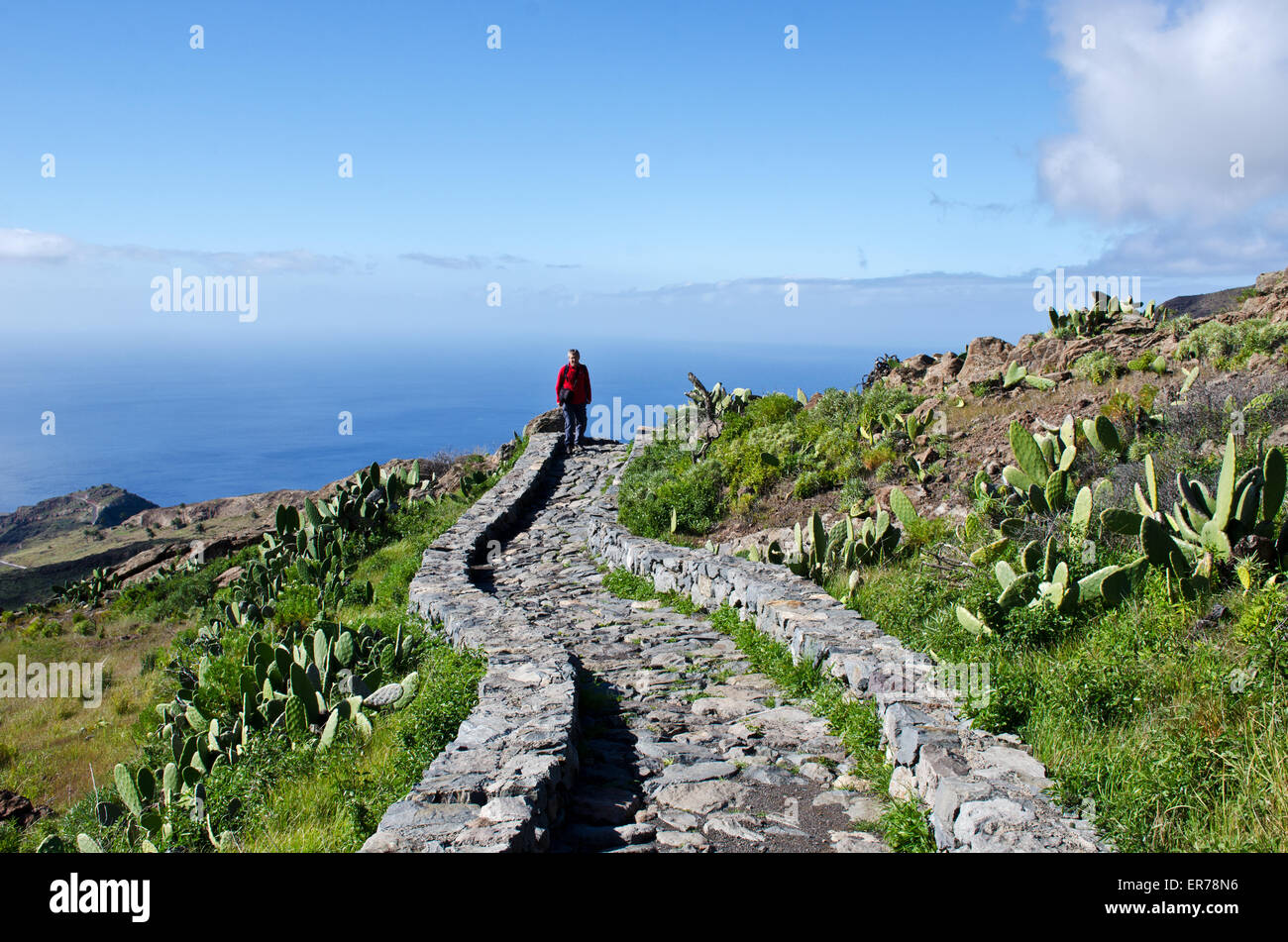 Randonneur sur sentier vers Drago Centenario, île de La Gomera. Canaries, Espagne Banque D'Images