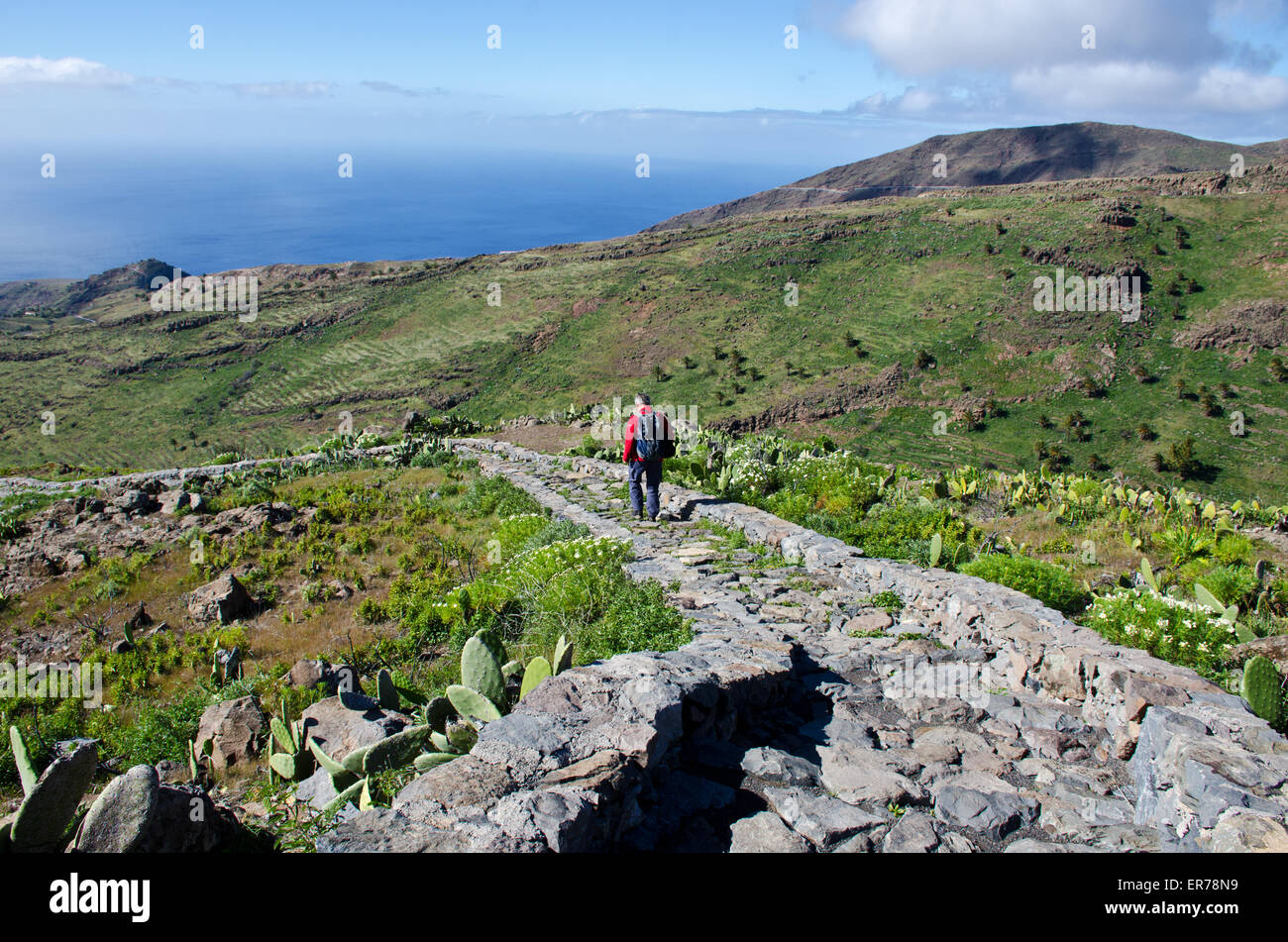 Randonneur sur sentier vers Drago Centenario, île de La Gomera. Canaries, Espagne Banque D'Images