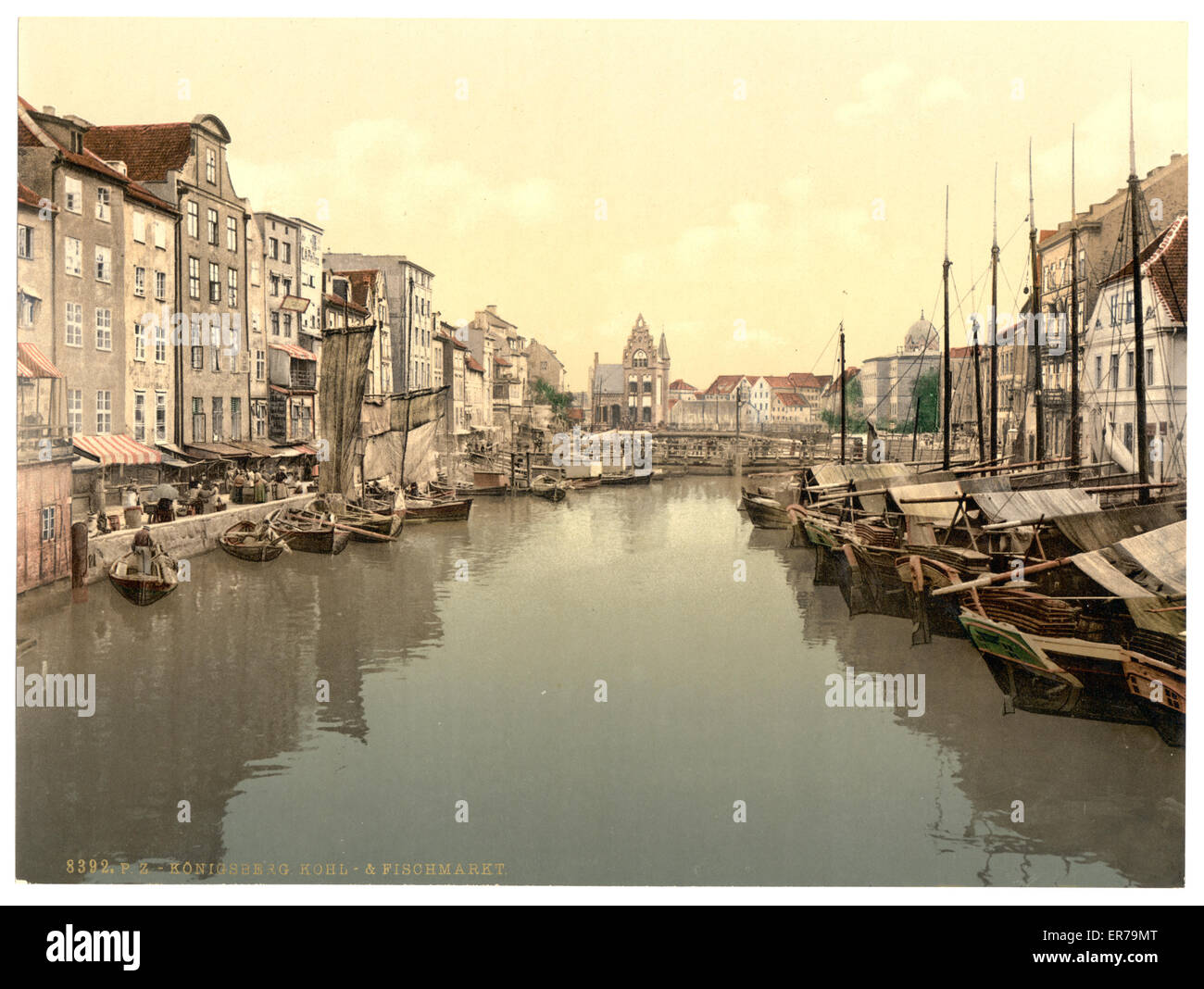 Marché du poisson et des légumes, Konigsberg, Prusse orientale, Allemagne Banque D'Images