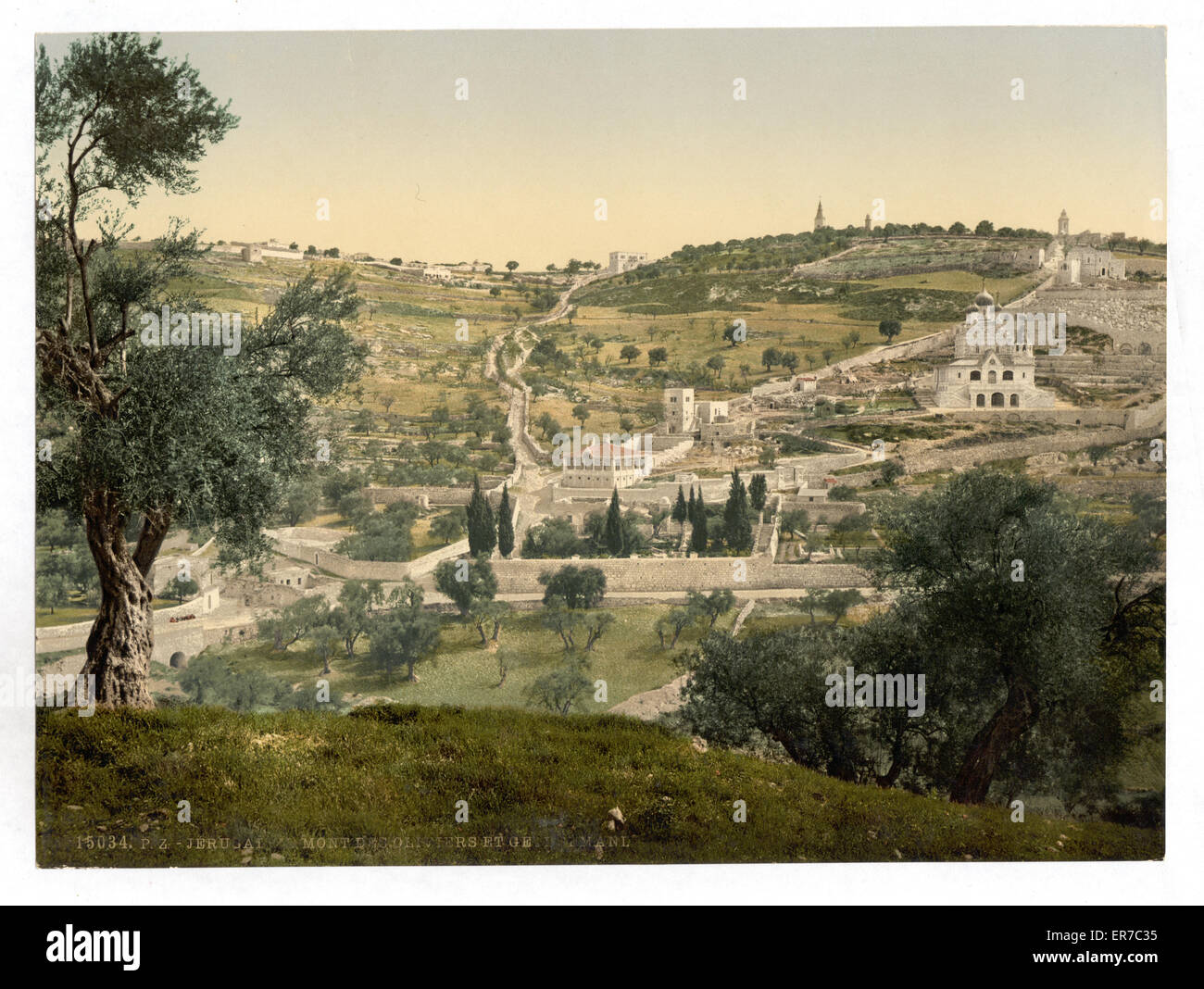 Mont des oliviers et Gethsemane, vue générale, Jérusalem Banque D'Images