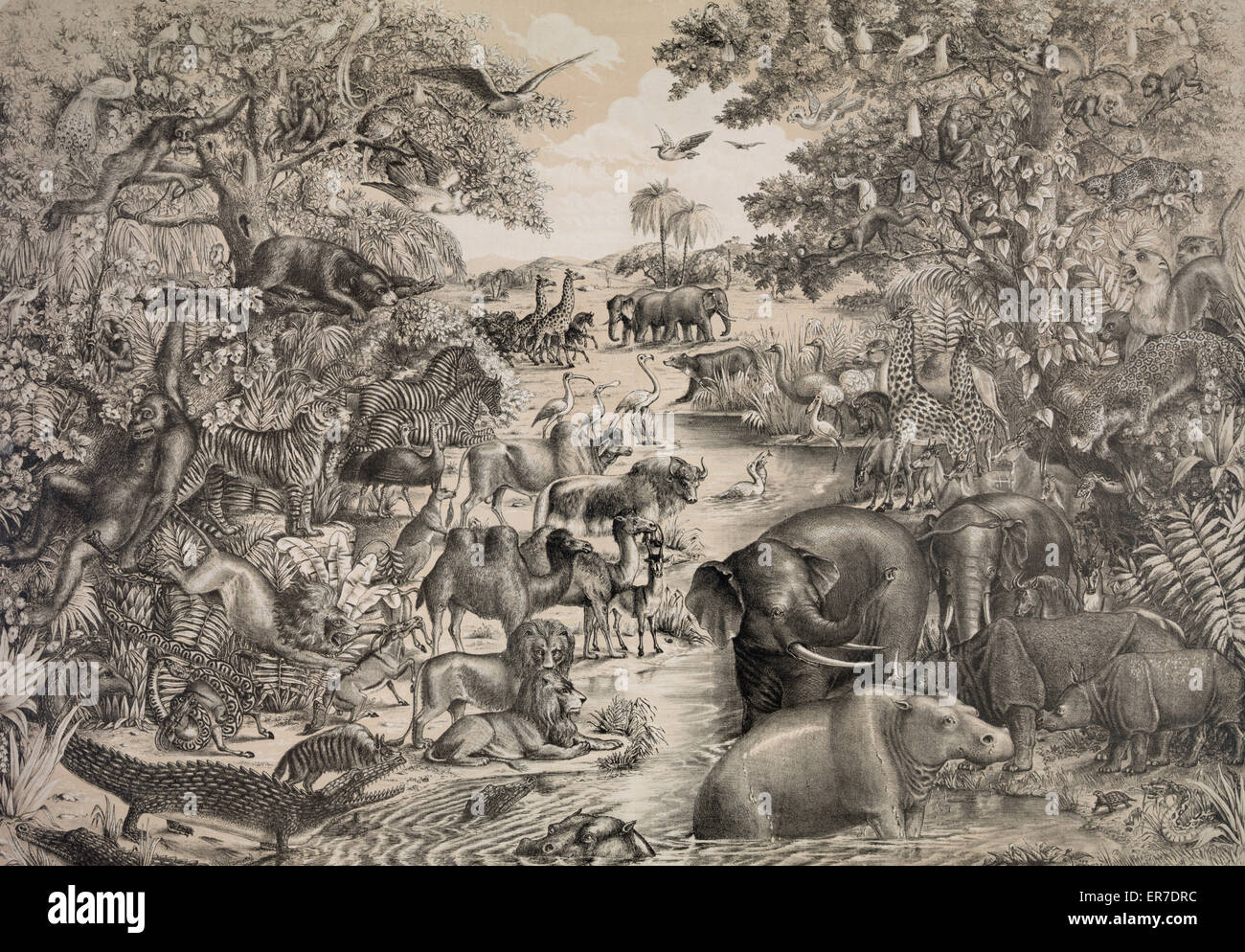 Les animaux de l'arche de Noé. Banque D'Images Les animaux de l'arche de Noé. Banque D'Images