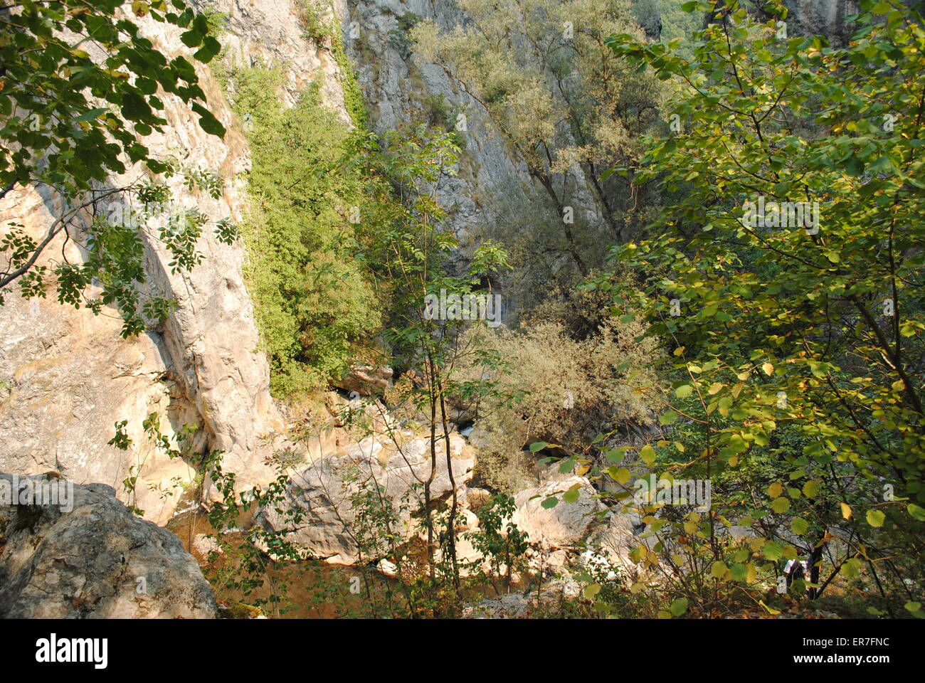 Une photographie dans les montagnes Banque D'Images