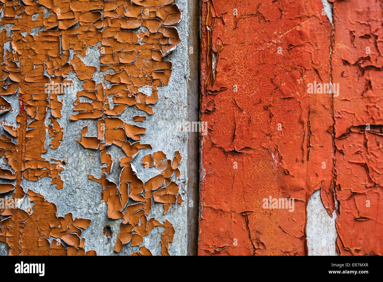 L'écaillage de la peinture sur fond de bois. Texture grunge rustique ancien. Focus sélectif. Banque D'Images