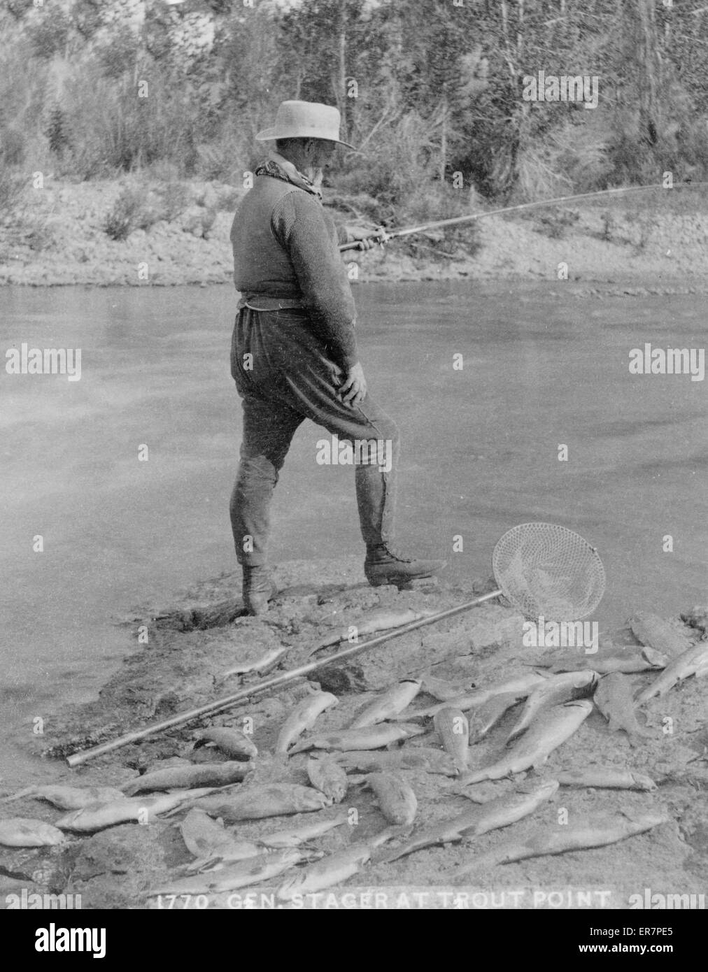 Général Stager à l'étang de la truite Banque D'Images