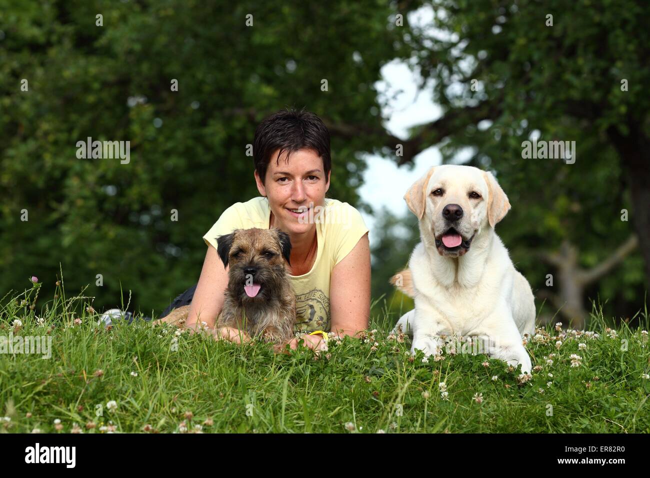 Femme et 2 chiens Banque D'Images
