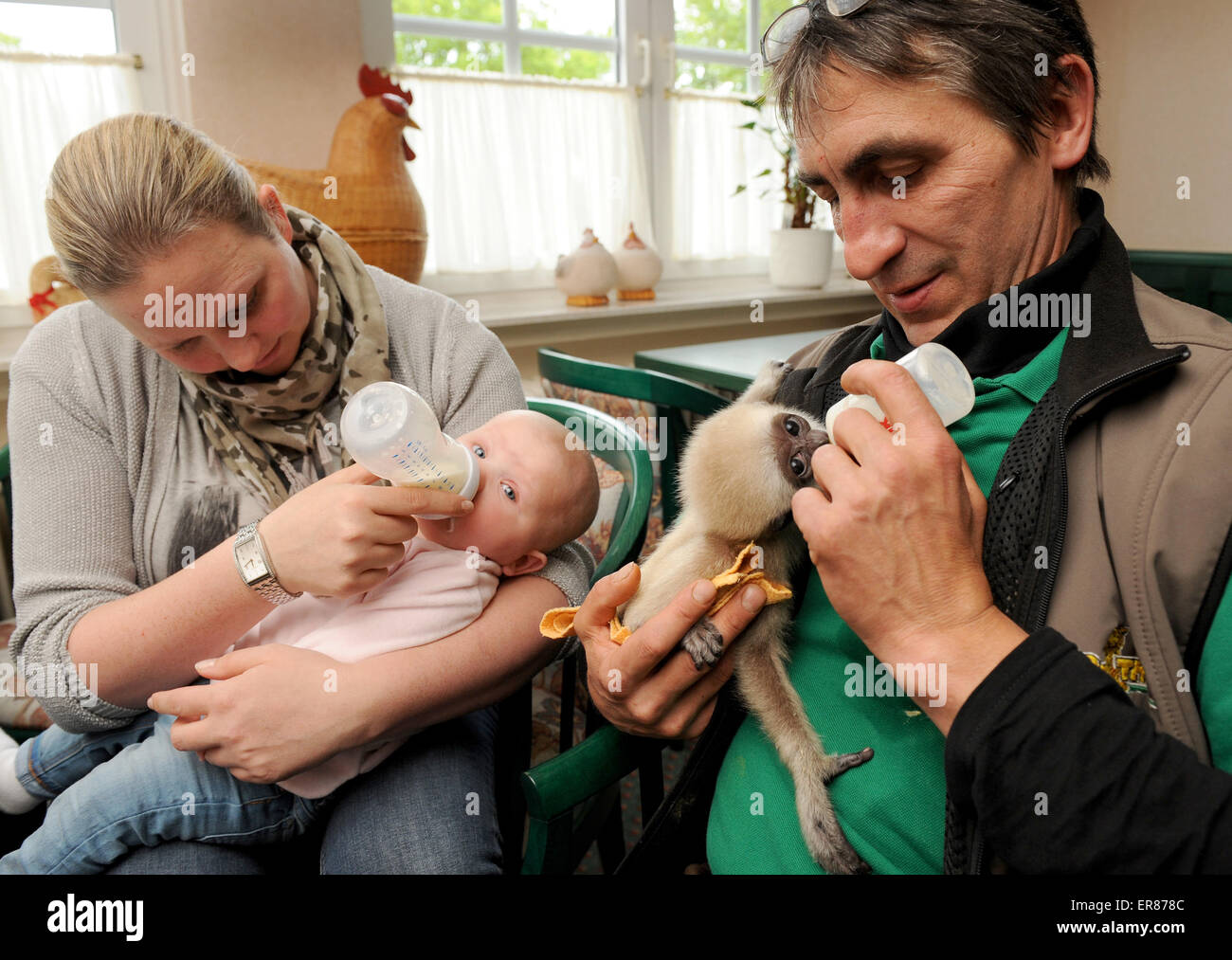 Friesoythe Allemagne 27 Mai 15 Directeur General De L Animal Park Pres De Thuele Friesoythe Alexandra Grothoff Bottle Nourrit Son Six Mois Fille Viktoria Dans Barcelone Allemagne 27 Mai 15 Zookeeper Ralf Haidenkummer Est