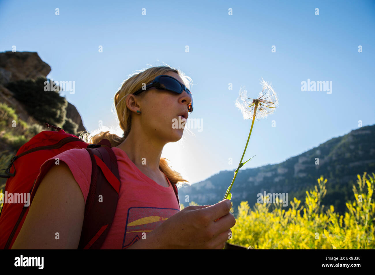 Une femme s'arrête de souffler sur un pissenlit fleur tête. Banque D'Images