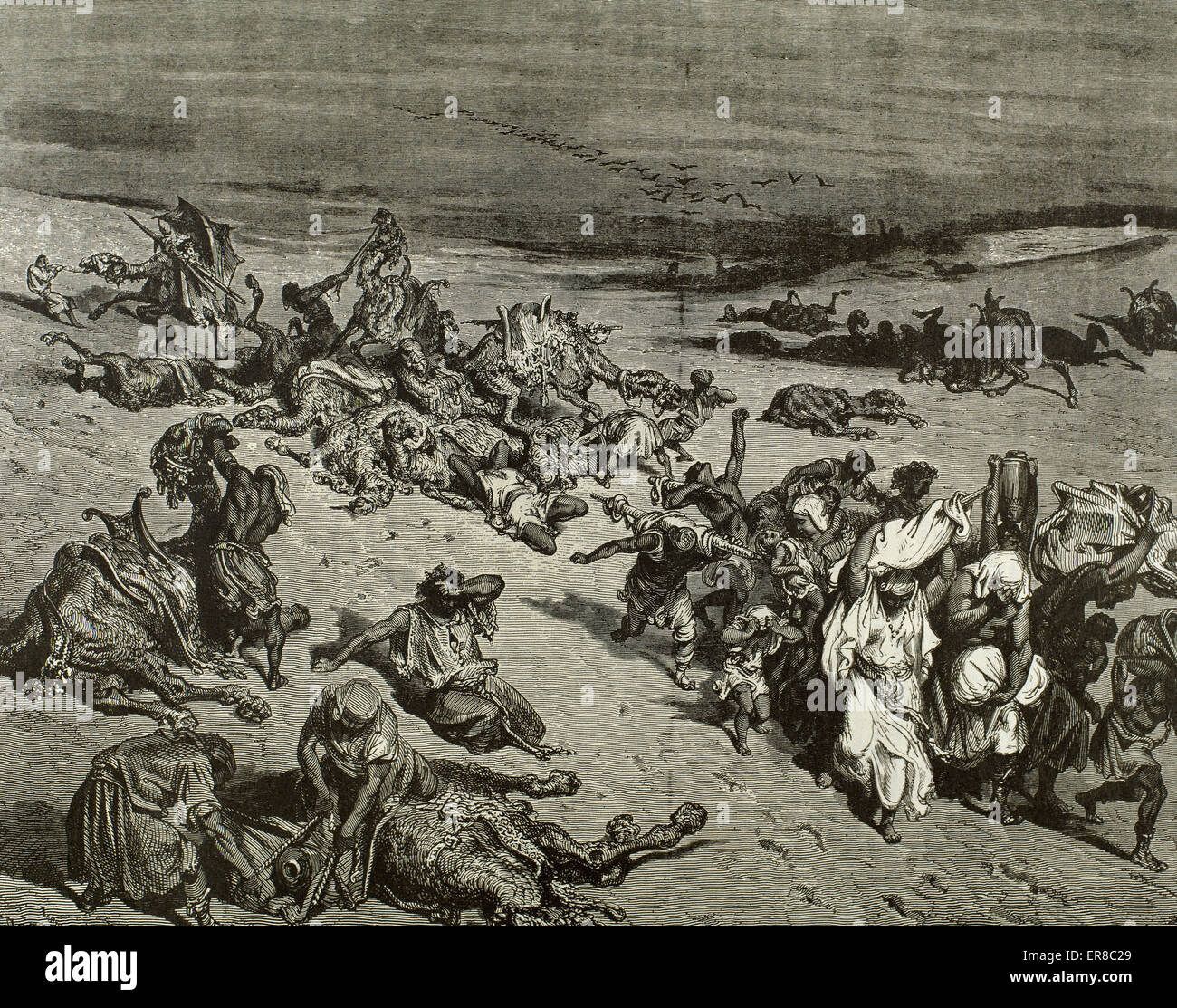 La grande mortalité des animaux. La cinquième plaie : les maladies du bétail. Exod 9. Gravure de Gustave Dore. 19E C. Banque D'Images
