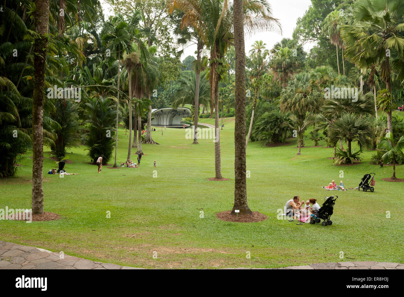 jardin botanique de singapour ; assis dans les jardins botaniques de Singapour, Singapour, Asie du Sud-est Banque D'Images