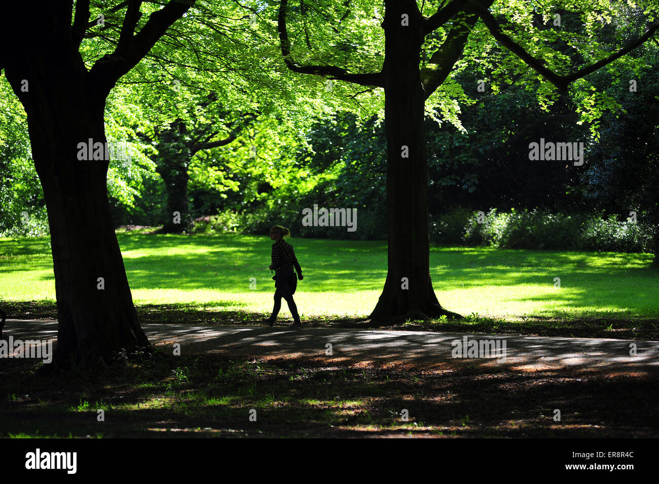 Une femme marche le long d'un chemin bordé d'arbres dans la région de Clifton Bristol près du pont suspendu de Clifton. Banque D'Images