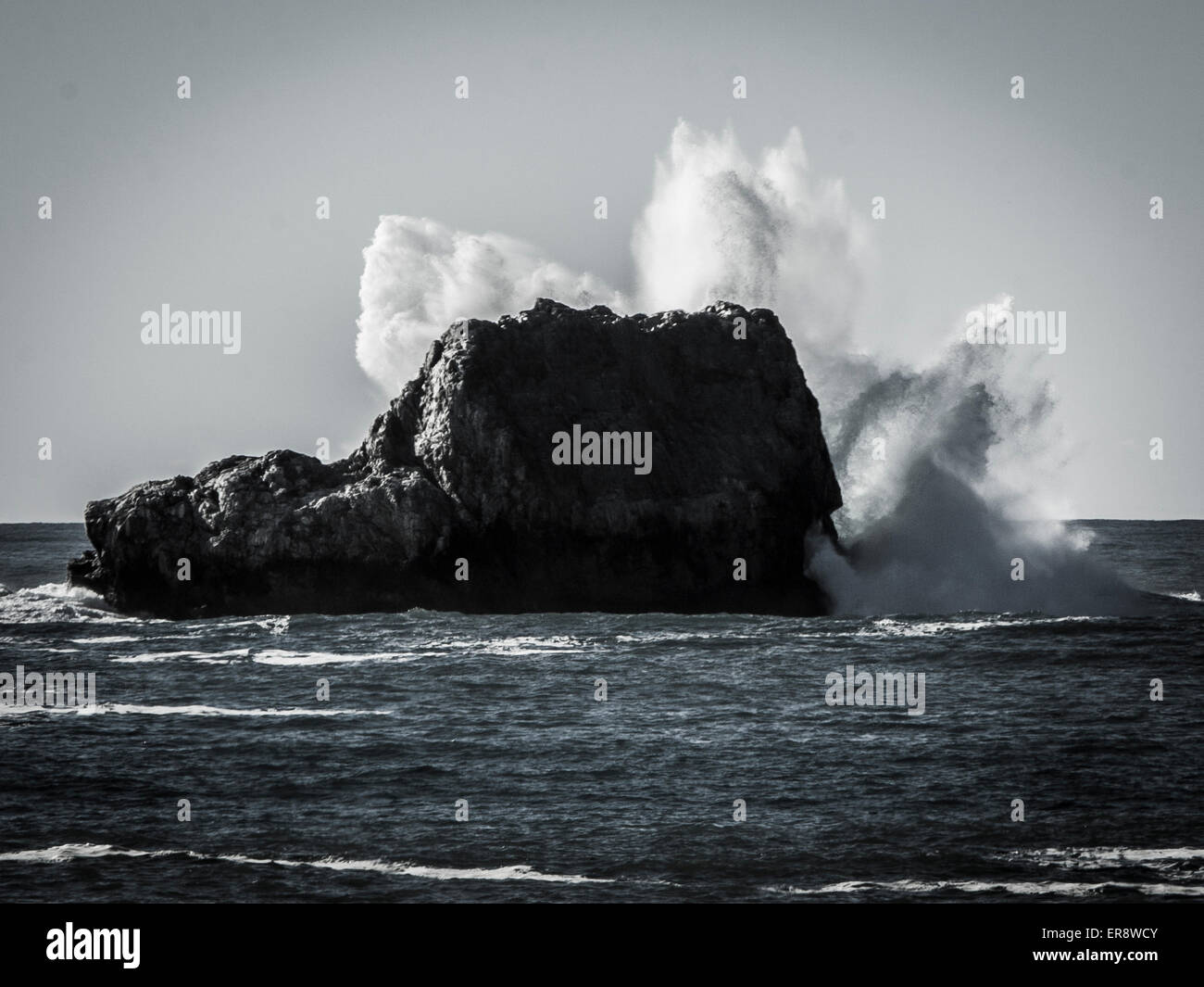 Image en noir et blanc des vagues s'écraser sur un rocher Banque D'Images