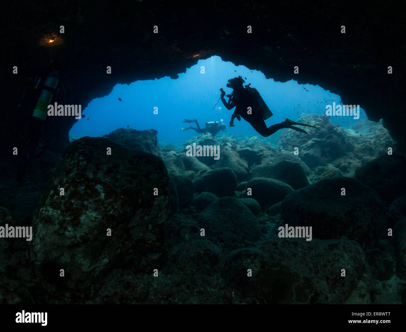 La plongée à la vie sur les arches de lave à Hawaii, Big Island, États-Unis Banque D'Images