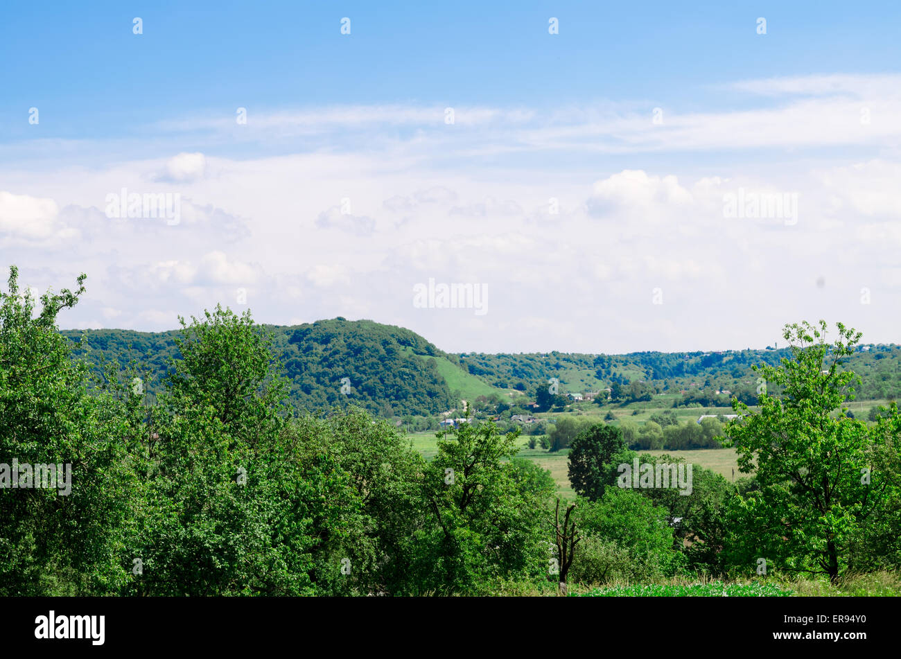 Arbres et ciel dans l'été Banque D'Images