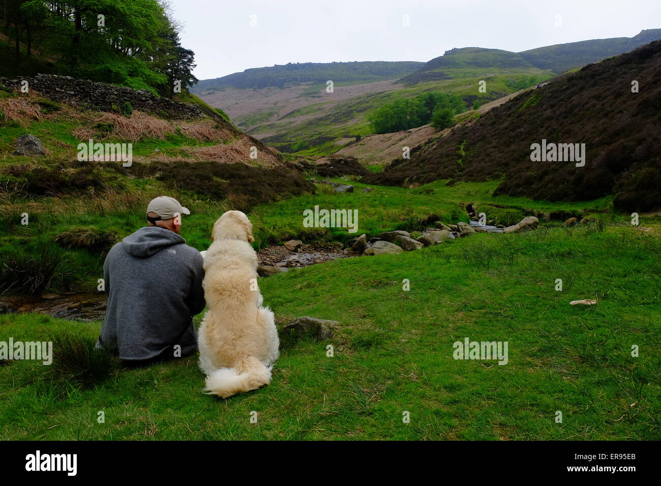 Mans meilleur ami Banque D'Images