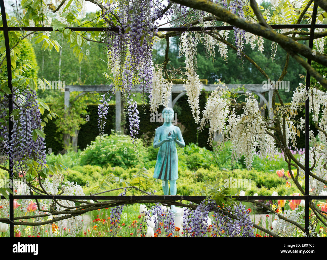 Statue de jeune fille appelée la 'lampe de la sagesse'. Statue jardin ornemental et de glycine dans le jardin formel d'archway à Waterperry Jardins, Oxfordshire, UK Banque D'Images