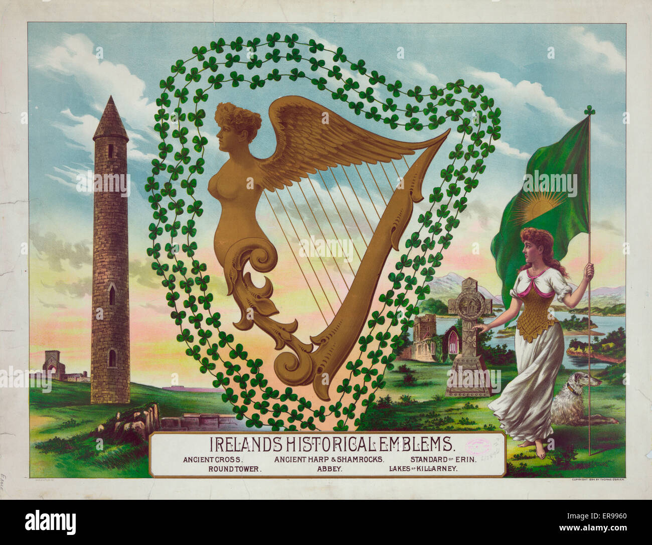 Les emblèmes historiques de l'Irlande Banque D'Images
