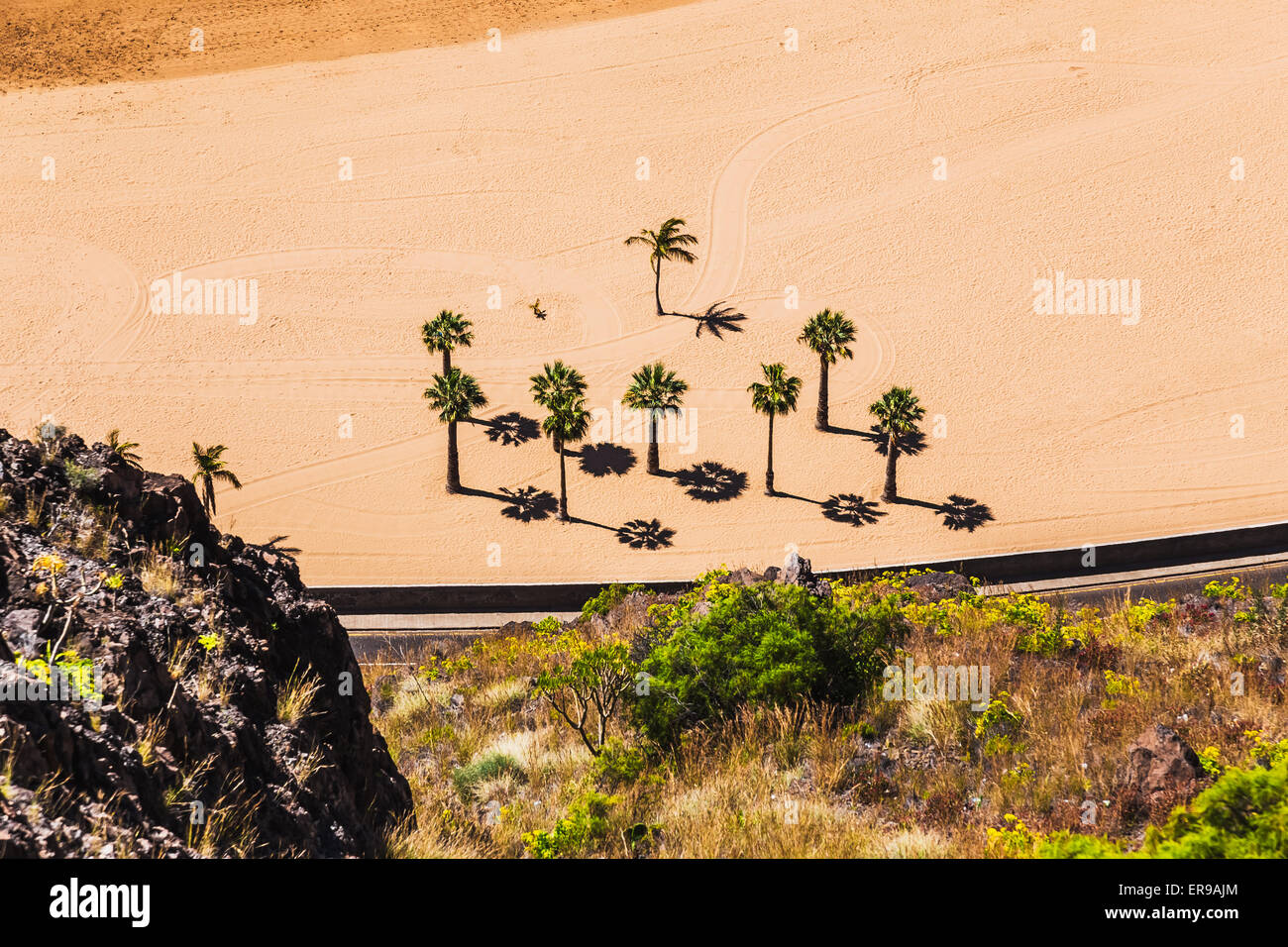 Vue aérienne de palmiers sur la plage de sable jaune de Las Teresitas ville de Santa Cruz de Tenerife, Îles Canaries l'Espagne au printemps Banque D'Images