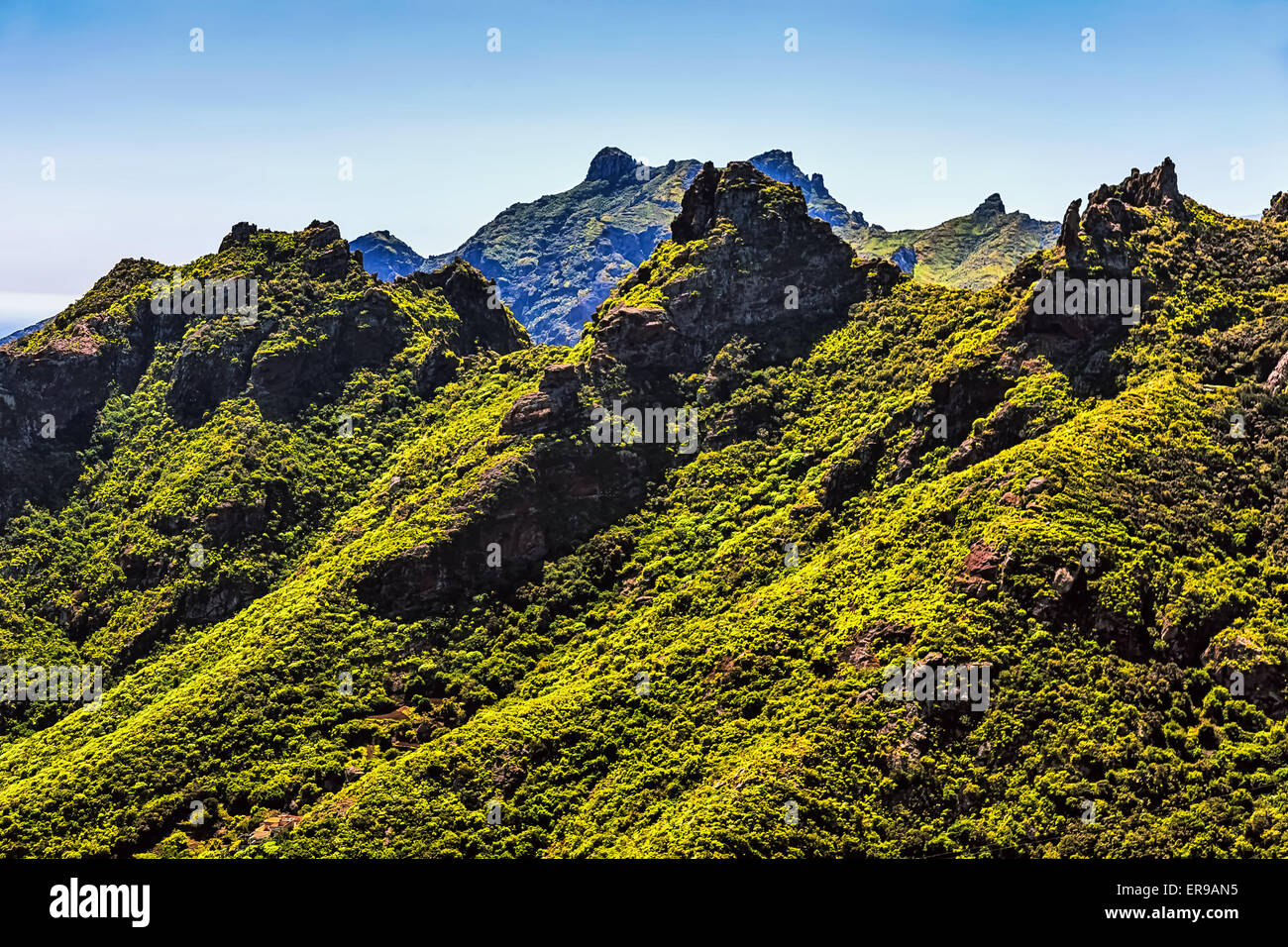 Le vert des montagnes ou des rochers et ciel bleu paysage dans l'île de Ténérife, Espagne Banque D'Images