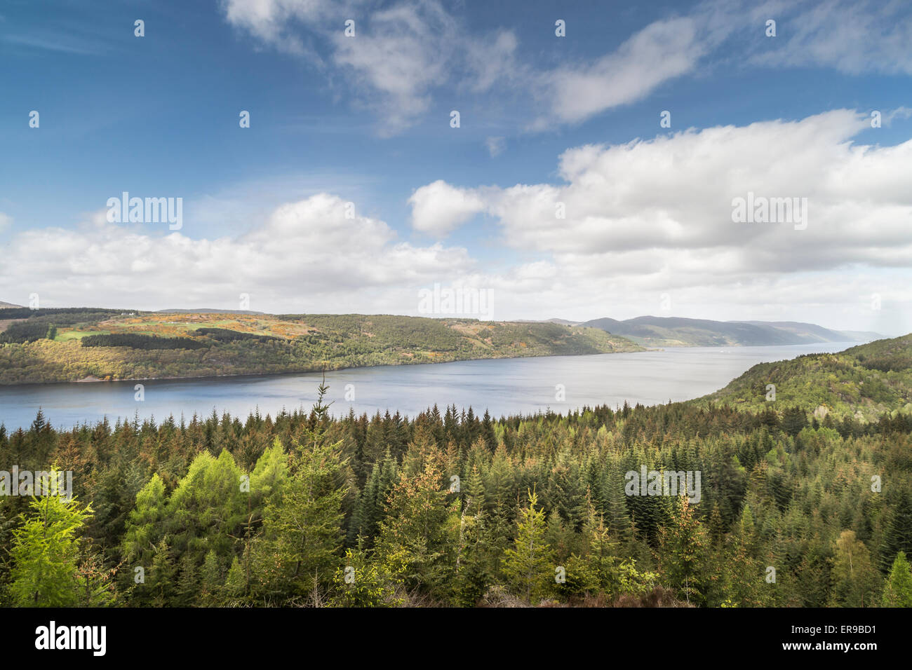 Vue d'Farigaig Loch Ness en Écosse. Banque D'Images