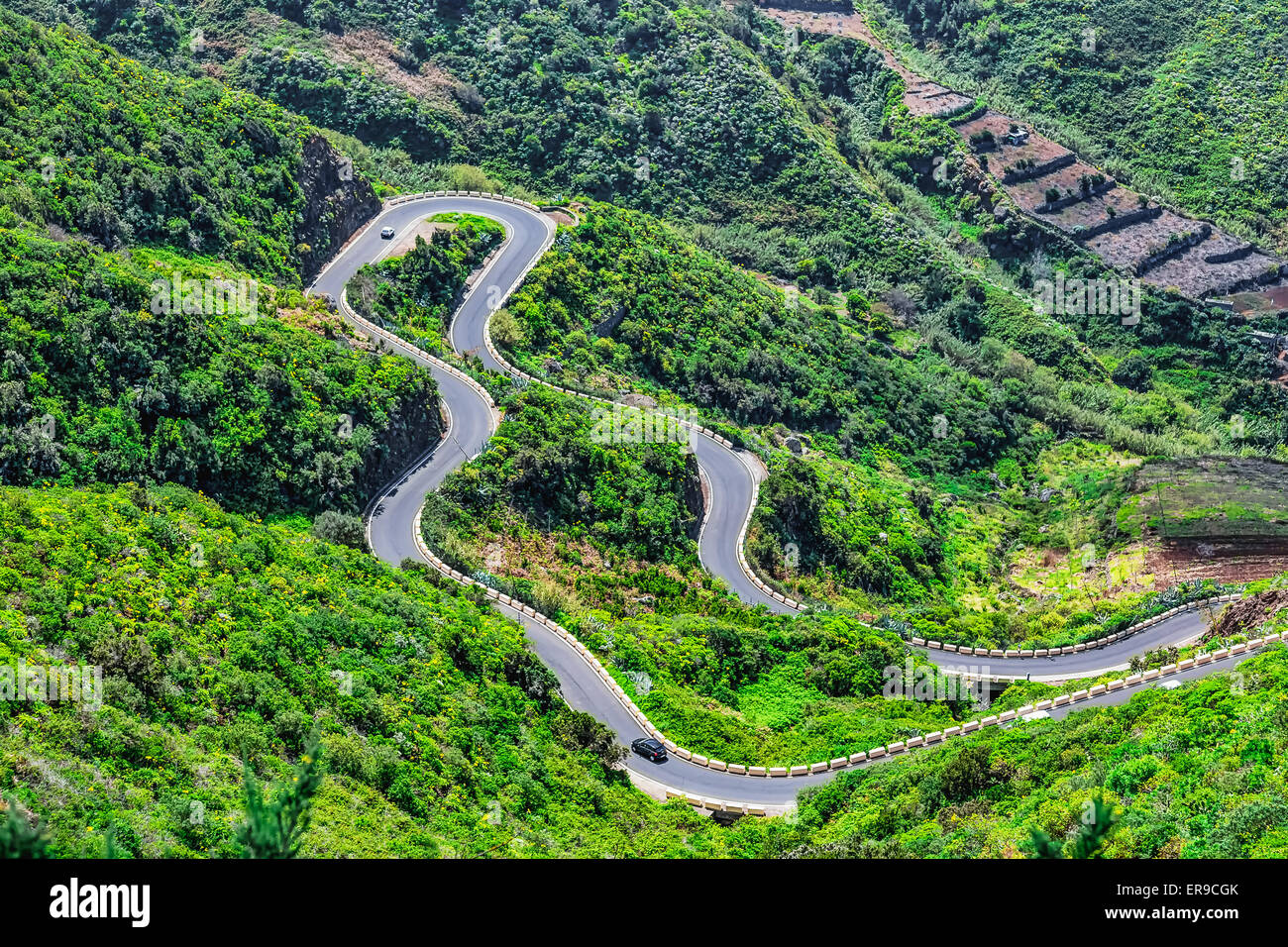 L'enroulement ou serpantine road à Green Mountain Valley dans l'île de Ténérife, Espagne au printemps ou en été Banque D'Images