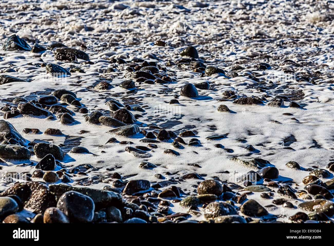 Pierres en mousse blanche sur la plage côte ou côte de l'océan ou sur la mer Banque D'Images