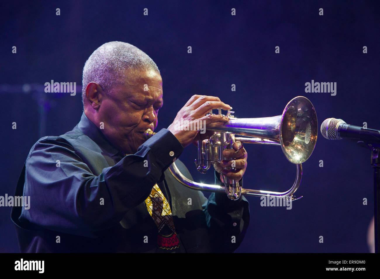 Turin, Italie, le 29 mai 2015. Trompettiste de jazz sud-africain Hugh Masekela en concert au Festival de Jazz de Turin Banque D'Images