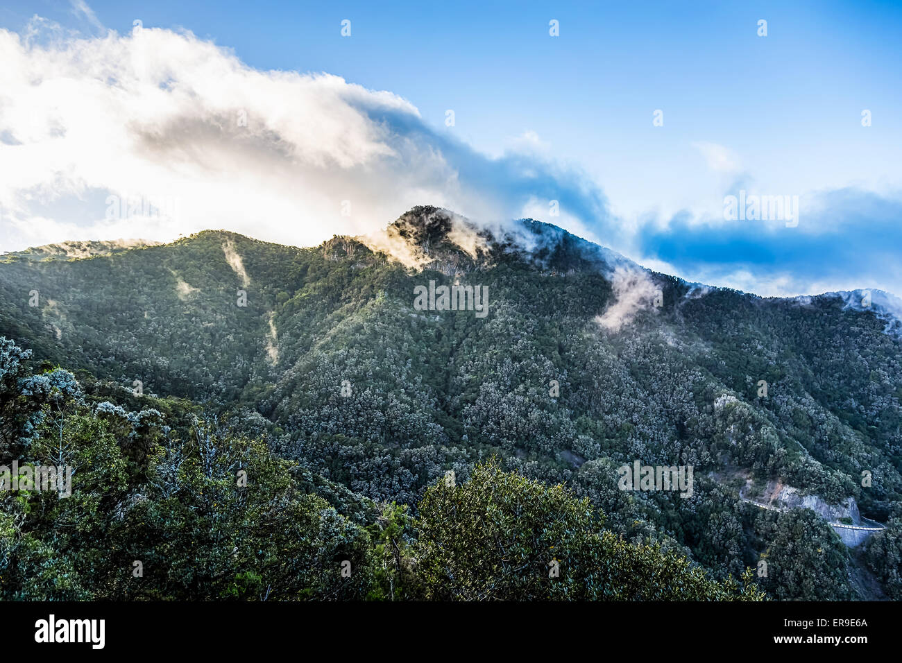 Le vert des montagnes avec des nuages blancs sur le ciel bleu paysage dans l'île de Ténérife, Espagne Banque D'Images