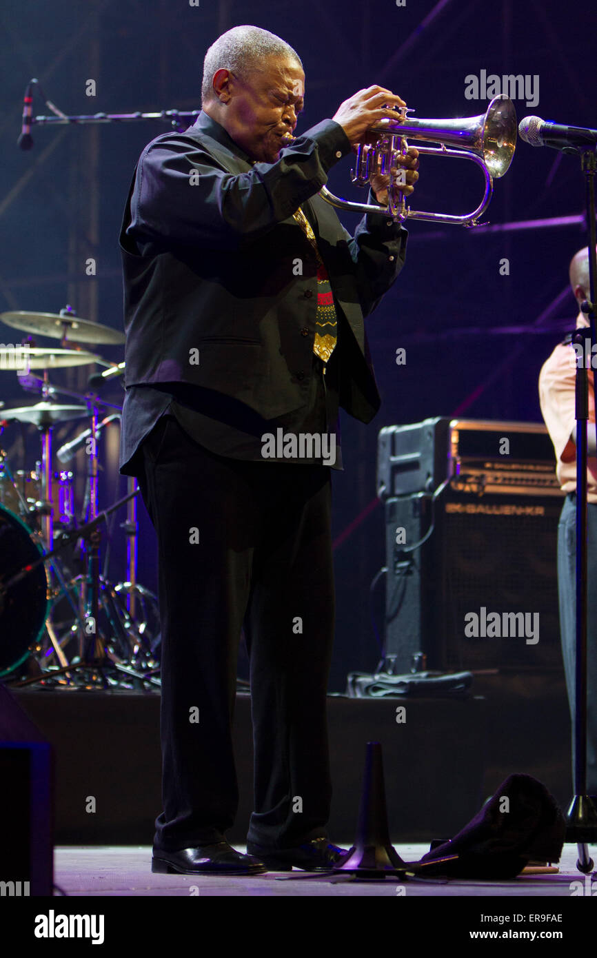 Turin, Italie, le 29 mai 2015. Trompettiste de jazz sud-africain Hugh Masekela en concert au Festival de Jazz de Turin Banque D'Images