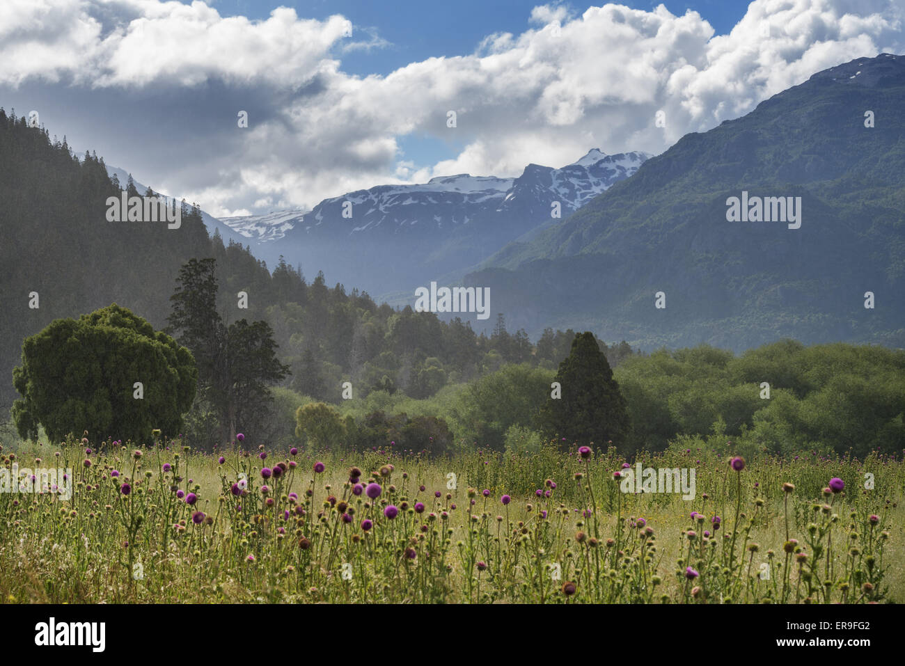 À partir de la Carretera Austral, Chili Banque D'Images