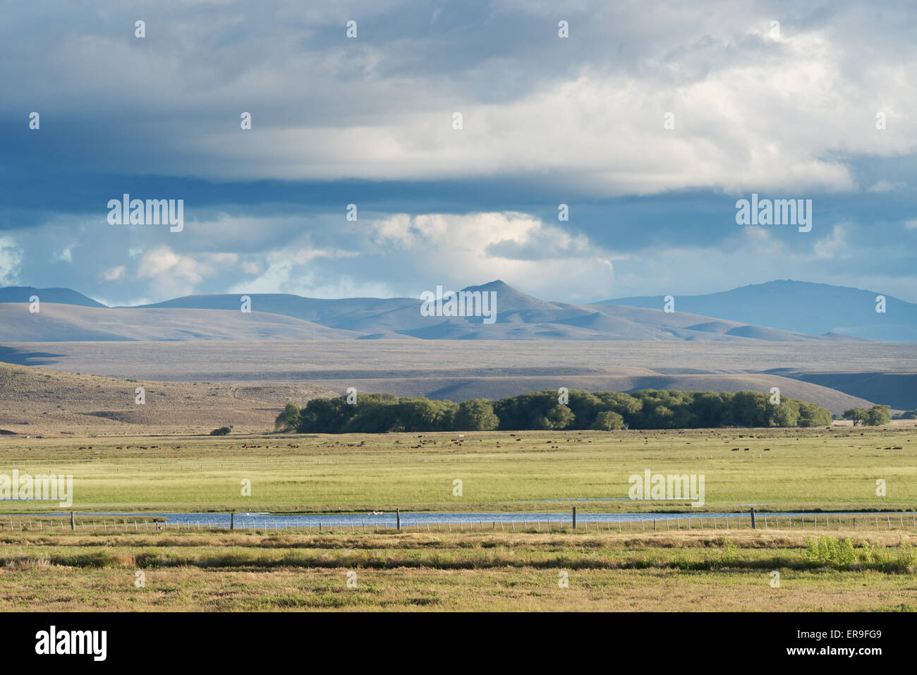 À partir de la Ruta 40 en Patagonie argentine. Banque D'Images