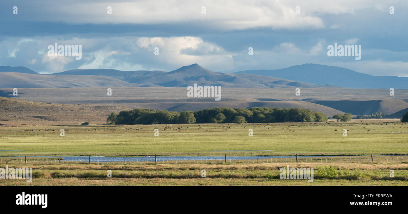 À partir de la Ruta 40 en Patagonie argentine. Banque D'Images