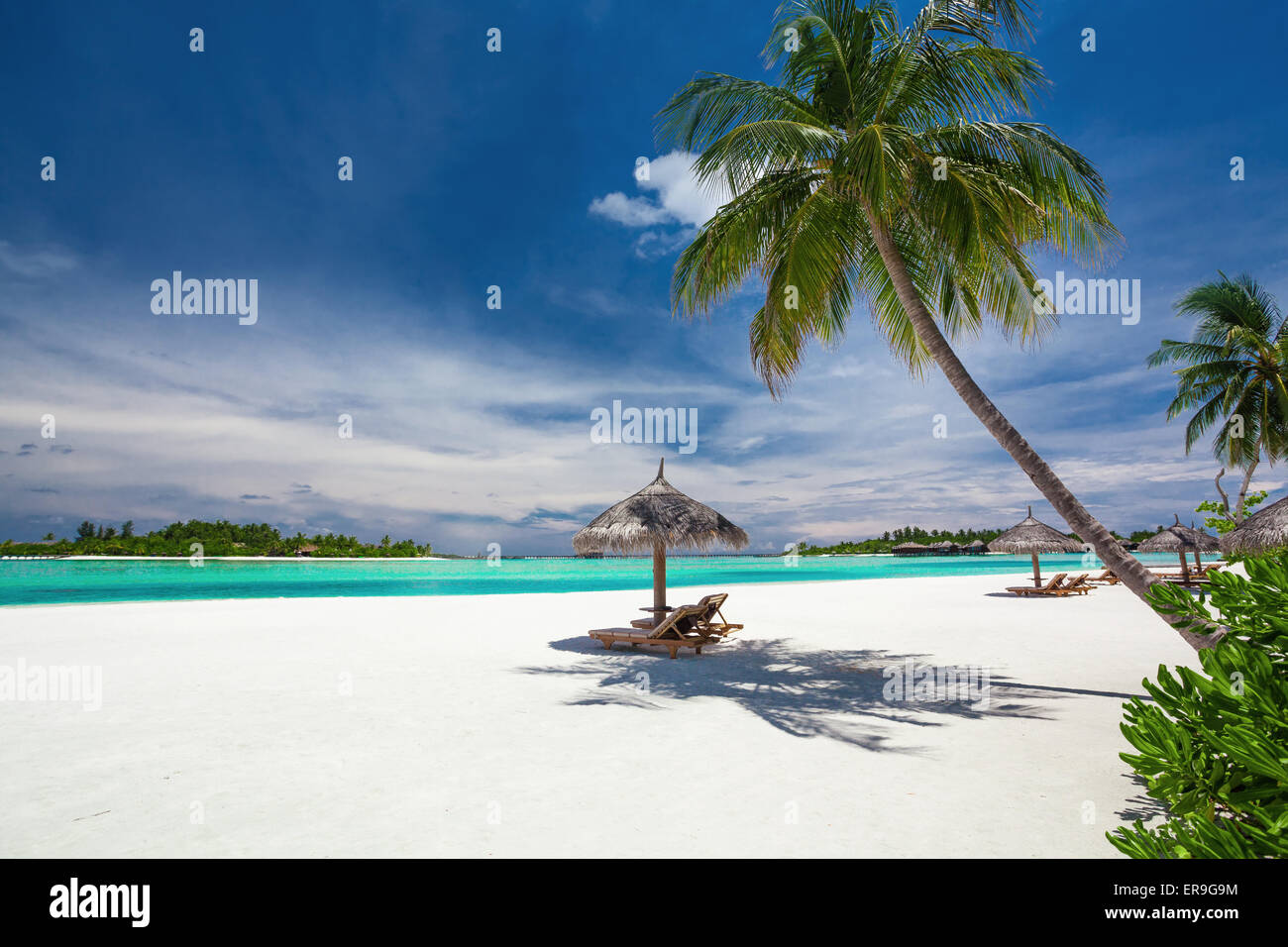 Transats sous les palmiers sur une plage tropicale des Maldives Banque D'Images