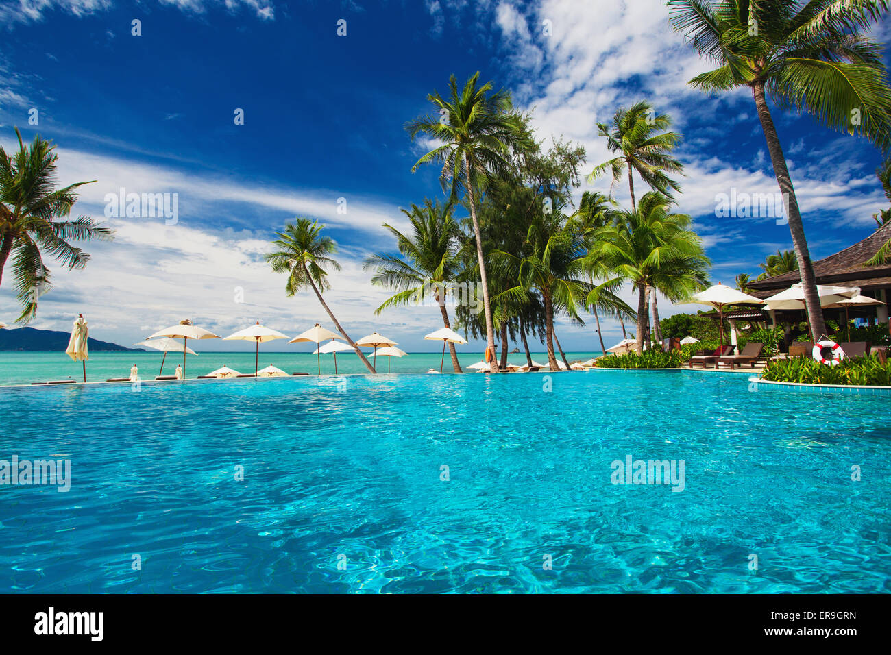 Grande piscine à débordement sur la plage avec des palmiers Banque D'Images