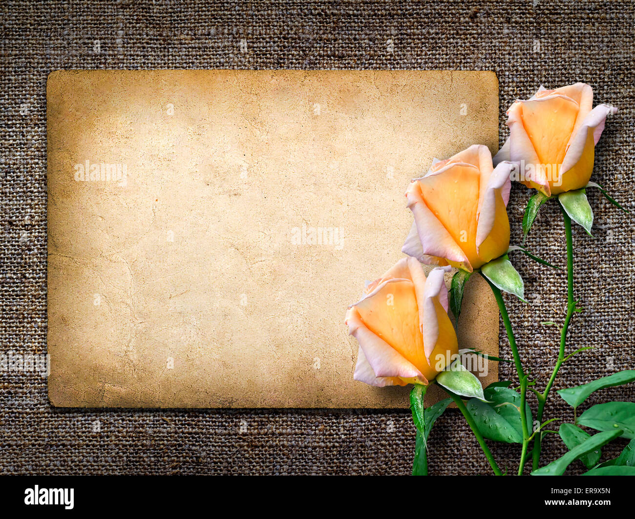 Pour Carte d'invitation ou félicitation avec rose jaune dans le style vintage Banque D'Images