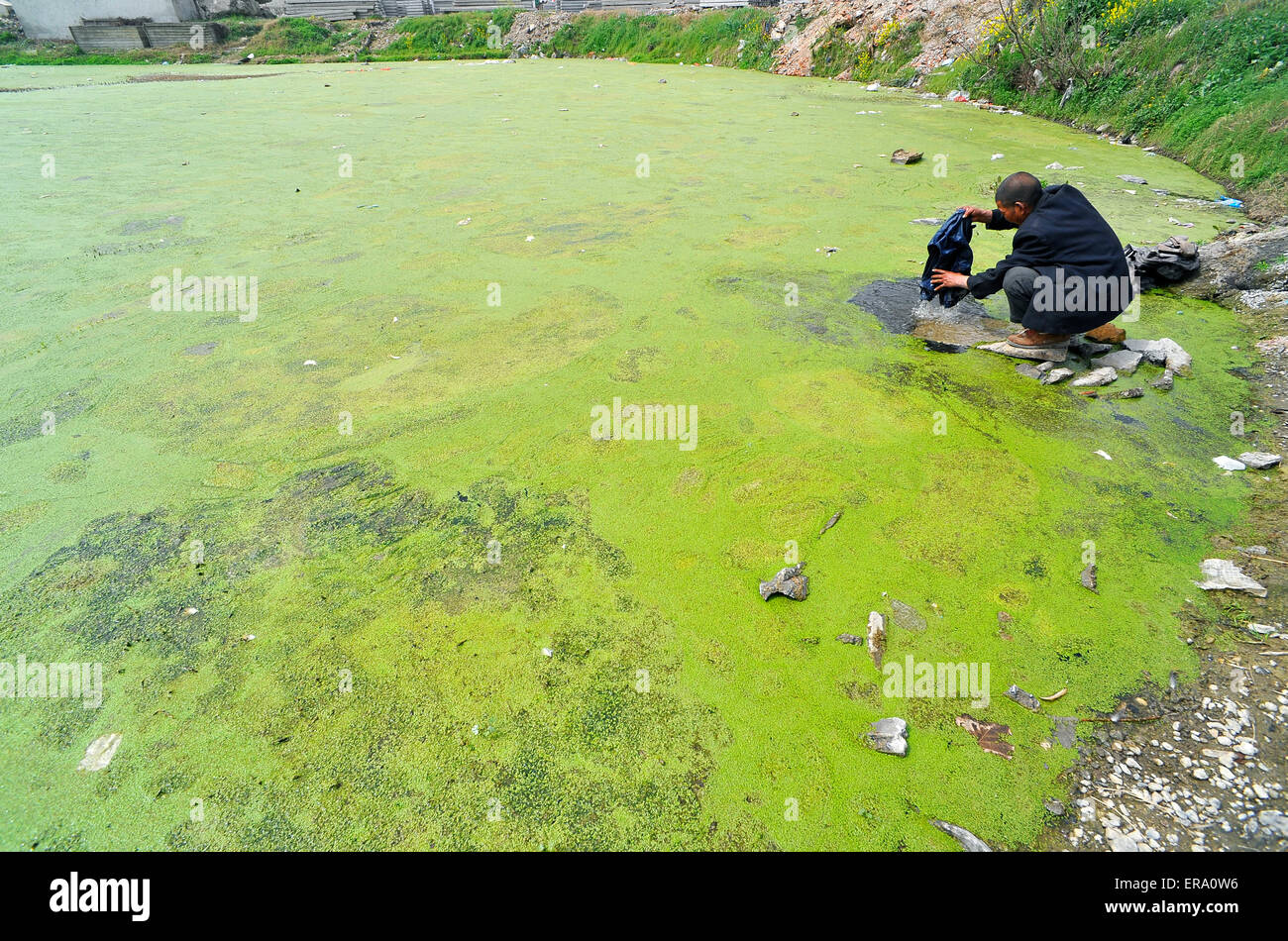 Un homme washs chiffons en un étang dans la région de Xiangfan, province de Hubei, Chine, le 21 mars 2015. Banque D'Images